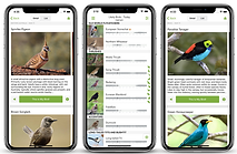 Merlin Bird ID App Sample.png