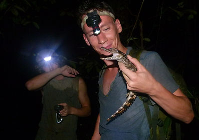Citizen Science volunteer holding a young Smooth-fronted caiman found during a Fauna Forever nightime river survey