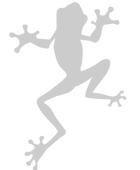 canstockphoto10263767%20(tree%20frog)%20