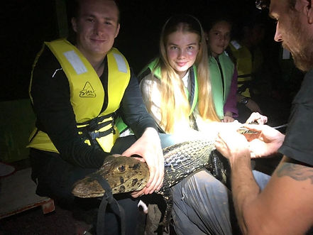 Norwegian students helping to examine a Black Caiman (Melanosuchus niger) during a Fauna Forever river survey