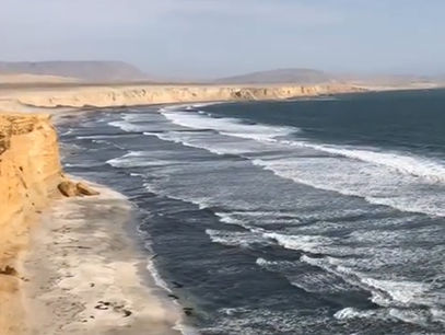 Videoblog: Birding on the Pacific Coast of Peru (by Chris Ketola, coordinator)