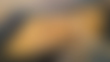 Forest of forgiveness