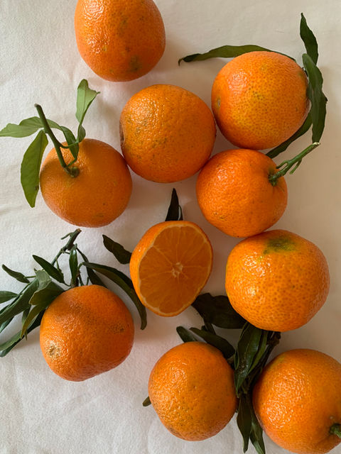 Orangenschale zum Räuchern und für Naturkosmetik