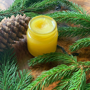Fichtenharzsalbe: Naturkosmetik aus dem Wald