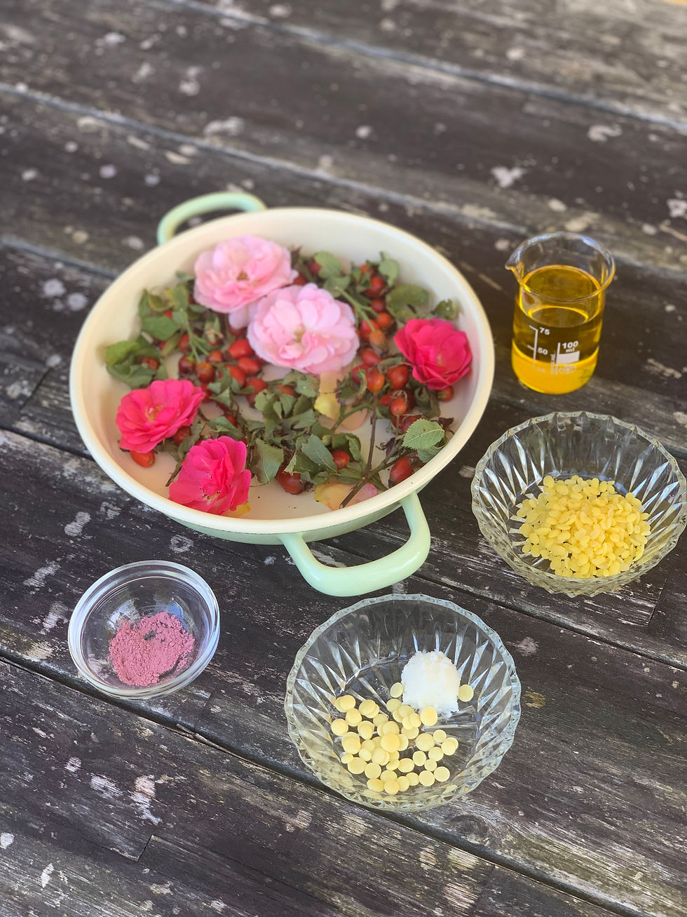 Rosen-Hagebutten-Lippenbalsam-selber-machen