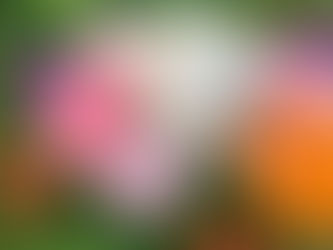 Rosenbutter - Körpercreme mit Rosenwachs