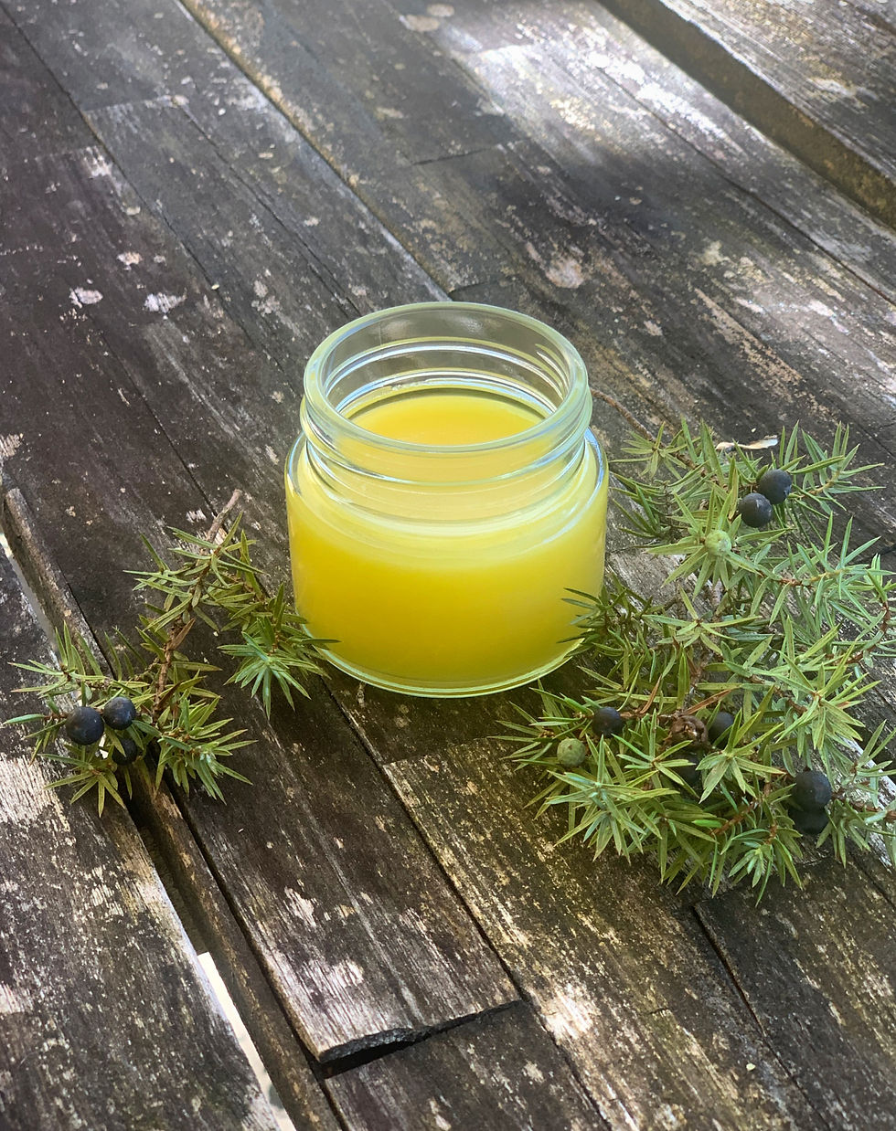Wacholder-salbe-selber-machen-rezept