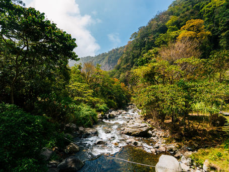 Panama's Paradise: Why It's the Must-Visit Destination of 2023