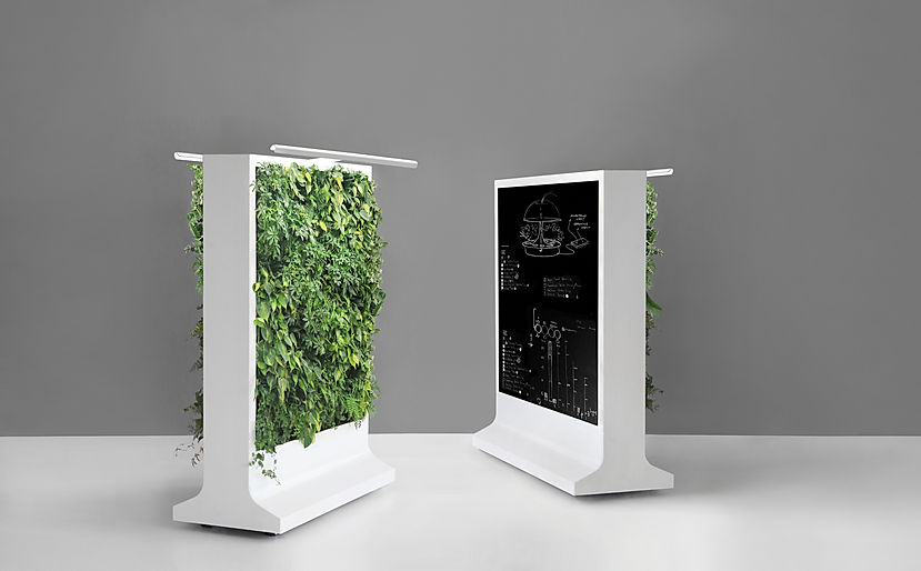 Verdanta Collection (1).jpg