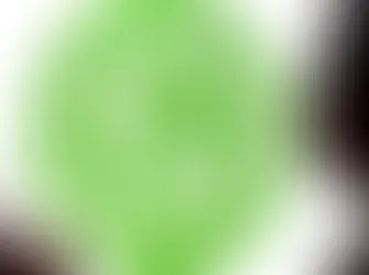 La comunicazione dell’assenza tramite WhatsApp alla luce della sentenza del Tribunale di Udine n. 167/2026