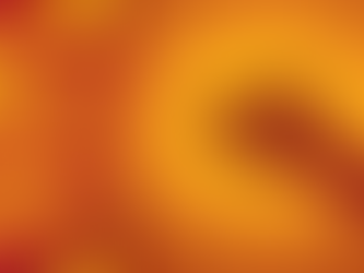 azione sindacale udine