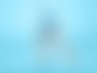 sanzioni sindacato udine