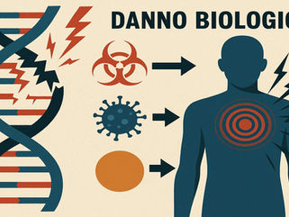 Danno biologico, morale e professionale: linee guida per un risarcimento al netto di imposizioni fiscali”