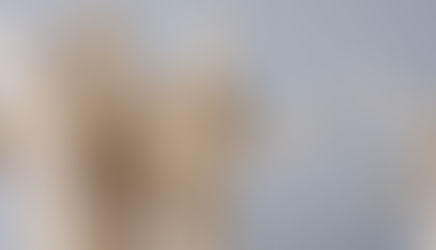 mobbing sindacato udine