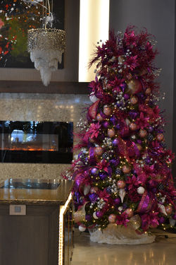 Designed by Interior Landscaping