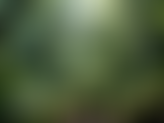 心靈健康與靈性關懷