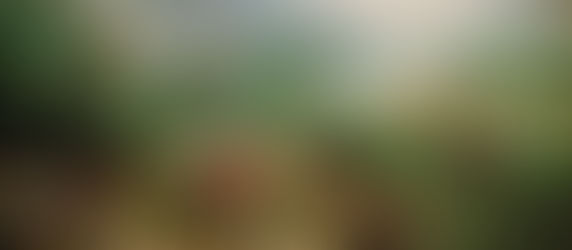Ikarus'un Düşüşü Sırasında Bir Manzara