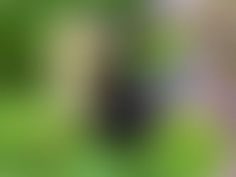 Romance - What is it?