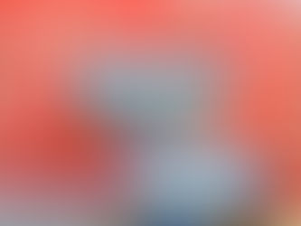 El piloto floridense Feliciano Bruschi al Sudamericano en Perú
