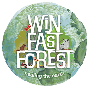 Win Fast Forrest Winchester MA