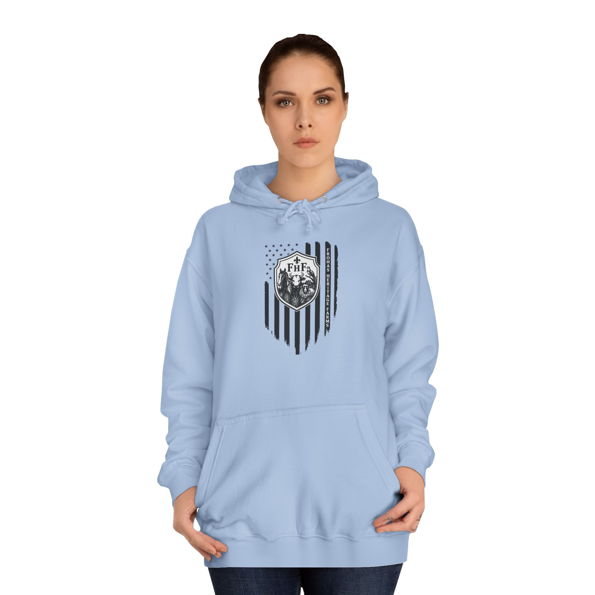 Unisex - College Crest Hoodie — Vintage Shield & Stripes Campus Pullover