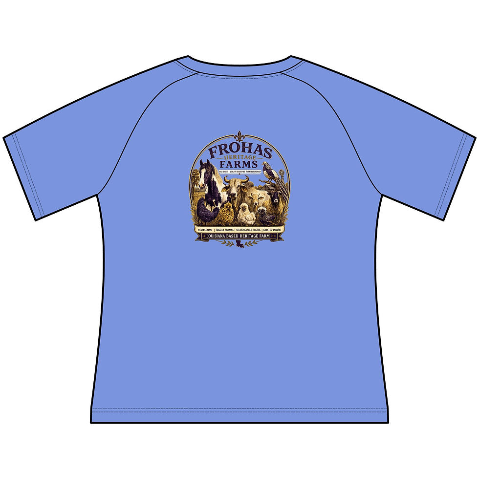 Thumbnail: Fitted - Frohas Farms Heritage Tee — Women's Farm Animal Scoop Raglan