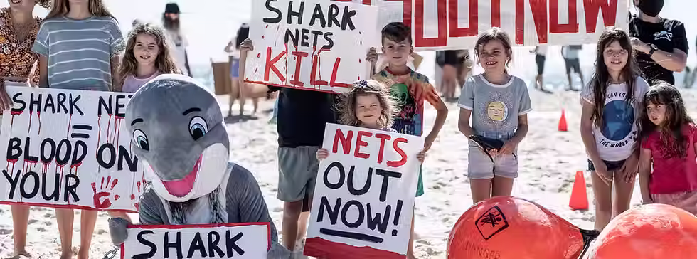 Nets Out Now
