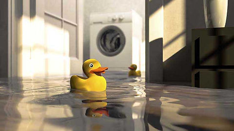 rubber duck -flooded-basement-wide.jpg