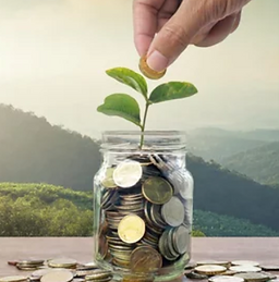 Hand saving coins in jar, representing impact investing, regenerative finance and eco-projects