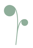 Sprout graphics sage.png
