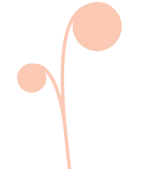 Sprout graphics peach.png