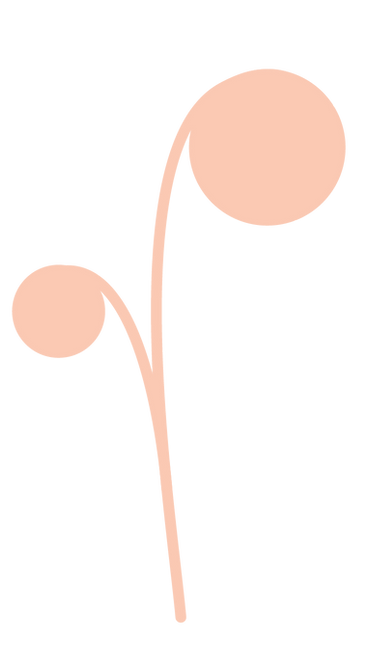 Sprout graphics peach.png