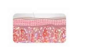 Ice Skin - Skin Esthetic