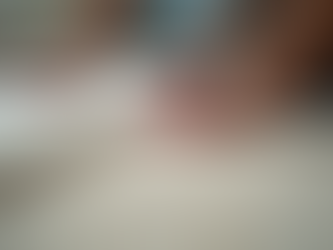 Professional Carpet Installation Guide: Everything You Need to Know