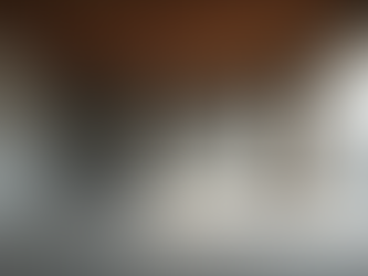 Your Ultimate Basement Renovation Steps: A Step-by-Step Guide to Basement Remodeling