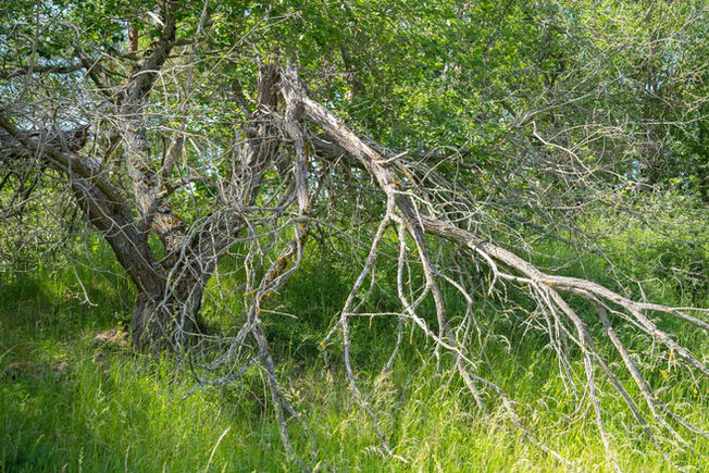 Canon EF 3,4-4,5 35-135mm f8