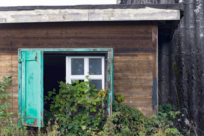 TTArtisan 2.8/100mm Bubble Bokeh