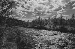Rollei Infrared 400 Film with Hoya Red Filter Dark
