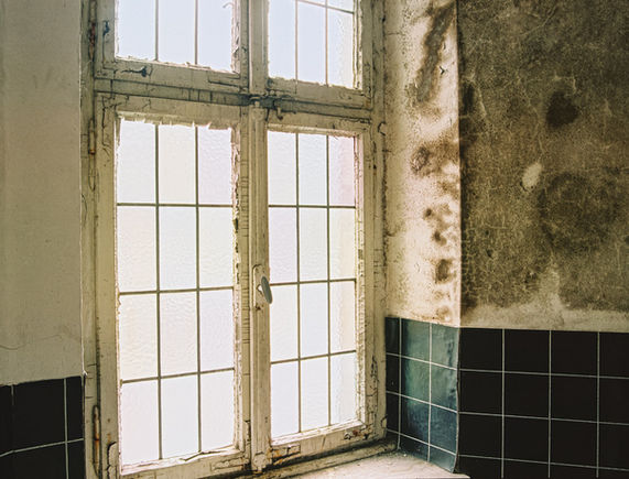 Pentax 645N - FA 4,5/45-85mm - Kodak Gold 200
WC Schimmel