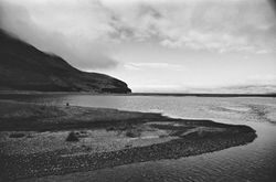 Rollei Infrared 400 Film with Hoya Red Filter Dark