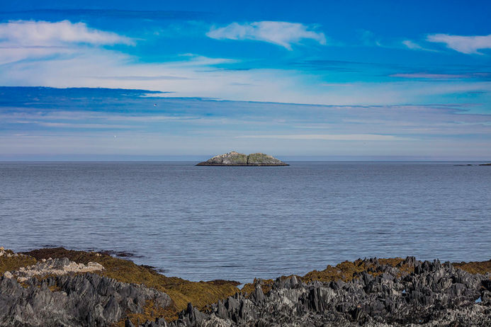 Canon EF 100-300mm L 100mm f11 Telezoom