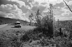 Rollei Infrared 400 Film with Hoya Red Filter Dark