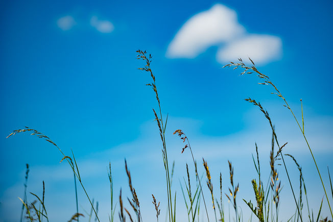 Canon EF 3,4-4,5 35-135mm f6.3