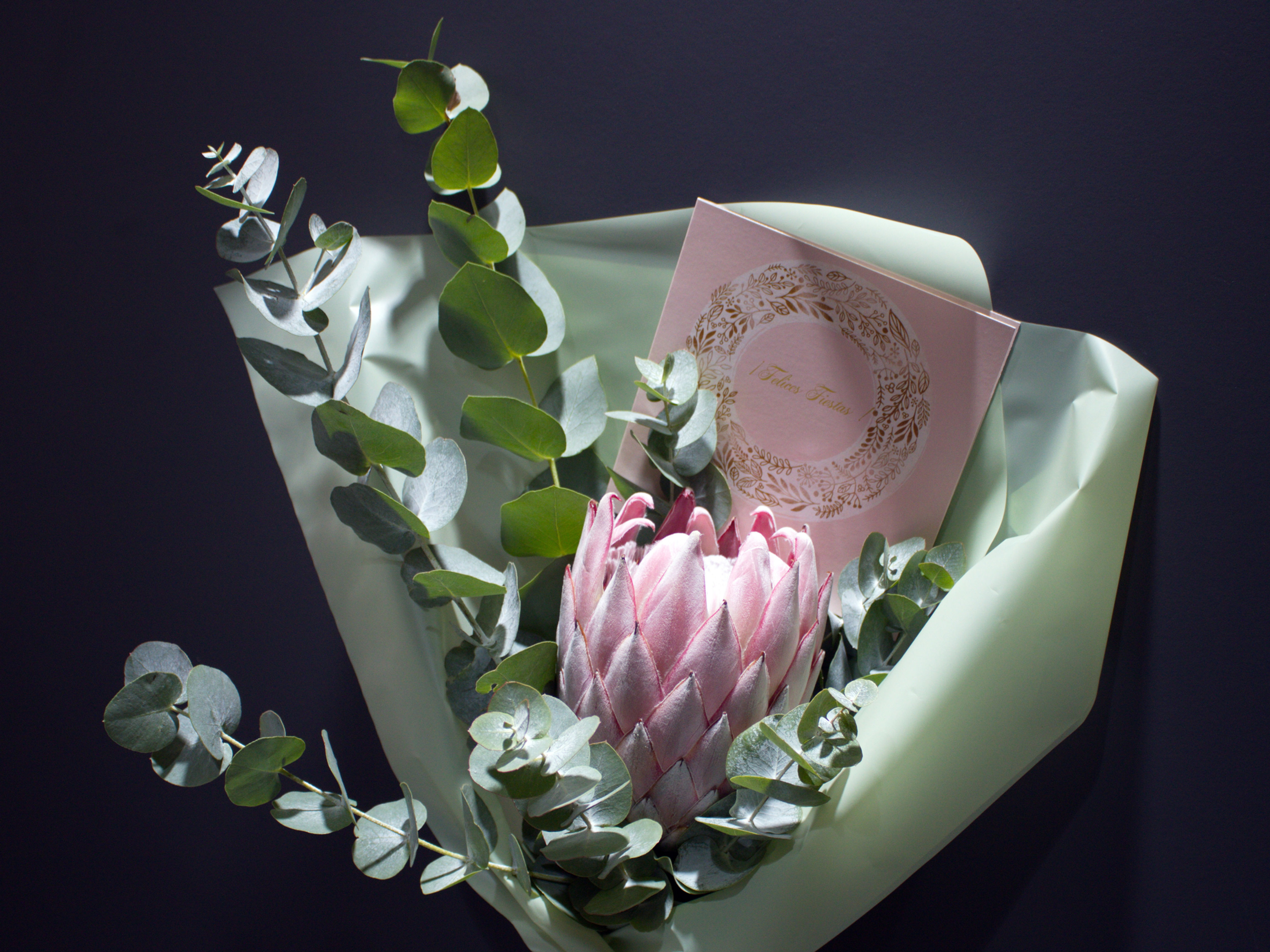 Bouquet-Compliment with one Flower ''PROTEA''