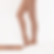 Taylor Swift Tights shimmer dance tights