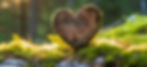 AdobeStock_605899597_edited.jpg