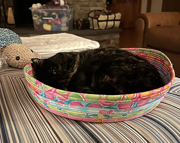 Taps in Catnap