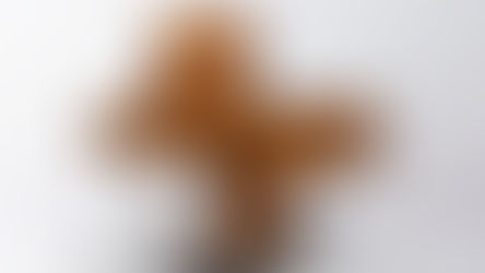 Mariela Garibay - bronz 