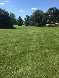 LowneysMowing.jpeg