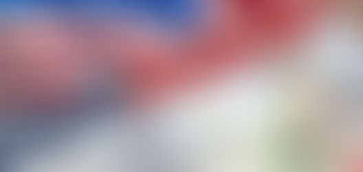 COMO TER O VISTO APROVADO NOS ESTADOS UNIDOS DA AMÉRICA